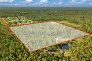 Lukayce Ln, Steinhatchee, FL 32359 - Photo 1