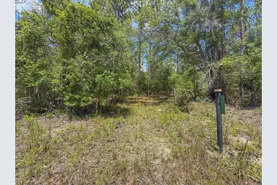 6339 NW 17th Court, Bell, FL 32619 - Photo 1