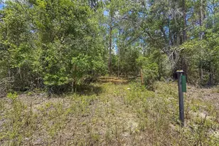 6339 NW 17th Ct, Bell, FL 32619 - Photo 1
