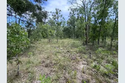 Se 16 Lane, Morriston, FL 32668 - Photo 1