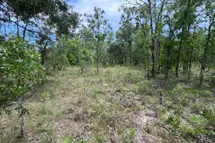 SE 16 Ln, Morriston, FL 32668 - Photo 1