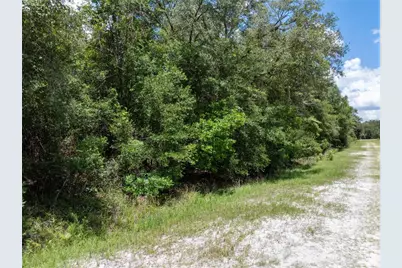 Lot 53 SW Roanoke Terrace, Fort White, FL 32038 - Photo 1