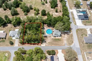 000 SE 92nd Terrace, Summerfield, FL 34491 - Photo 1