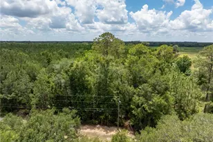 17198 SW State Road 47, Fort White, FL 32038 - Photo 1