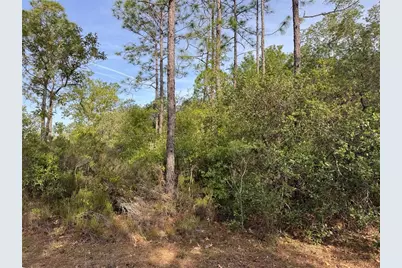 Tbd NE 76th, Bronson, FL 32621 - Photo 1