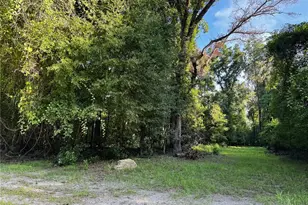 SW Fox Pl, Fort White, FL 32038 - Photo 1