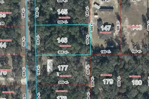Lot 146 NE 105th Ave, Bronson, FL 32621 - Photo 1