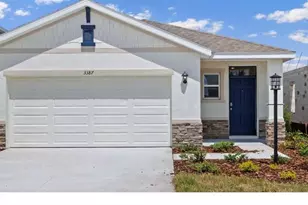 3376 Pine Lily Ave, Kissimmee, FL 34759 - Photo 1