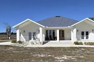 359 Terminal Ave, Polk City, FL 33868 - Photo 1