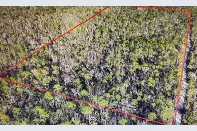 Clearwater Creek Lane, Perry, FL 32348 - Photo 1