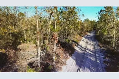 Clearwater Creek Lane, Perry, FL 32348 - Photo 1