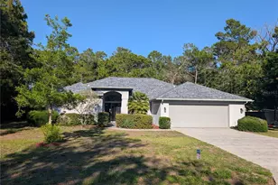 6 Saintpaulia St, Homosassa, FL 34446 - Photo 1