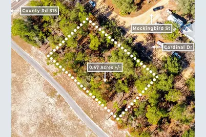 103 Cardinal Drive, Interlachen, FL 32148 - Photo 1
