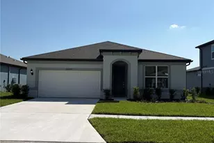 36497 Sespe Creek Ct, Zephyrhills, FL 33540 - Photo 1
