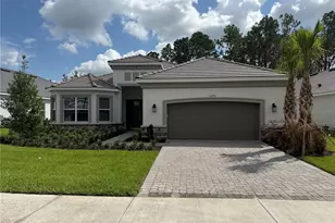 30395 Imperati, Wesley Chapel, FL 33543 - Photo 1