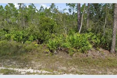 12067 Platano Drive, Punta Gorda, FL 33955 - Photo 1