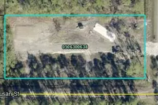10175 Crotty Ave, Hastings, FL 32145 - Photo 1