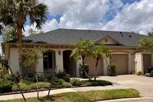 6803 Lockington Ct, Tampa, FL 33625 - Photo 1