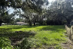3210 Wallace Branch Rd, Plant City, FL 33565 - Photo 1