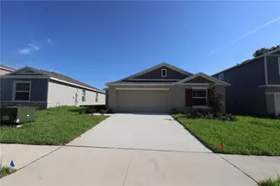 32985 Twin Flower Ave, Wesley Chapel, FL 33545 - Photo 1