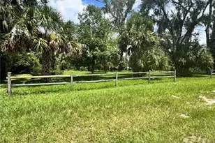 12038 Curley St, San Antonio, FL 33576 - Photo 1
