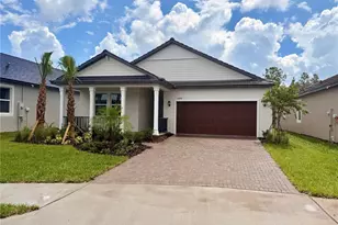 10432 Minnow Ray Dr, Land O Lakes, FL 34638 - Photo 1