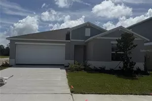 10102 Longhorn Cattle Ln, Wesley Chapel, FL 33545 - Photo 1
