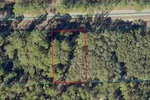 000 Malauka Pass, Ocklawaha, FL 32179 - Photo 1