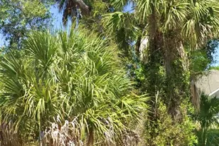 375 Arbor St, Port Charlotte, FL 33953 - Photo 1