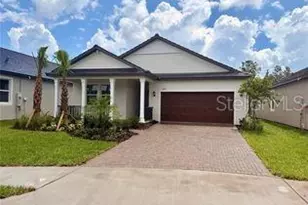 10438 Minnow Ray Dr, Land O Lakes, FL 34638 - Photo 1
