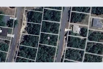 8174 N Triana Drive, Citrus Springs, FL 34434 - Photo 1