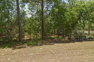 7068 N Fort Smith Terrace, Dunnellon, FL 34434 - Photo 1