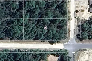 11269 Tinamou Ave, Brooksville, FL 34614 - Photo 1