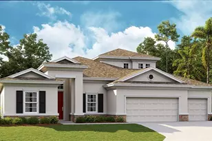 5119 Everlong Dr, Apollo Beach, FL 33572 - Photo 1