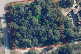 2324 W Aleuts Dr, Beverly Hills, FL 34465 - Photo 1