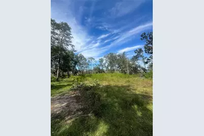 6200 SW 358 Highway, Cross City, FL 32628 - Photo 1
