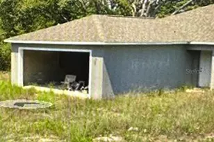 223 Malauka Run, Ocklawaha, FL 32179 - Photo 1