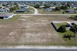 2829 Nelson Rd N, Cape Coral, FL 33993 - Photo 1