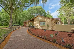 18039 N 41 Hwy, Lutz, FL 33549 - Photo 1