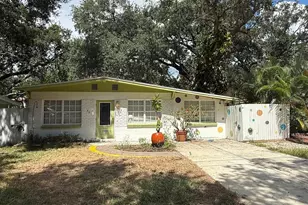 3131 W Villa Rosa St, Tampa, FL 33611 - Photo 1