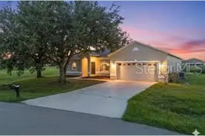 5658 Ficus Aurea Street, Kissimmee, FL 34758 - Photo 1