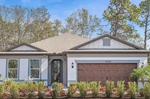 33268 Barnebrook Dr, Wesley Chapel, FL 33545 - Photo 1