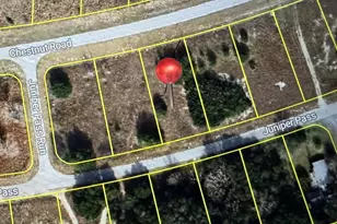 Juniper Pass, Ocala, FL 34480 - Photo 1