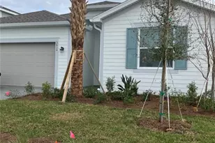 3610 Night Star Ter, Parrish, FL 34219 - Photo 1