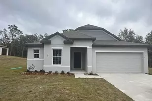 11808 Sparkling Topaz Cv, Parrish, FL 34219 - Photo 1