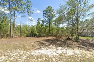 2814 W Parnell Ln, Dunnellon, FL 34433 - Photo 1