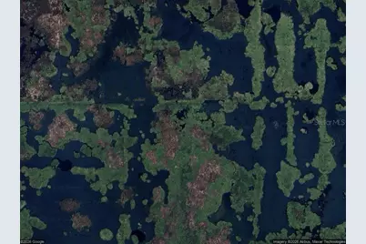 462 Emerald Grove Drive, Apopka, FL 32703 - Photo 1