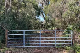 748 N Ridgewood Ave, Deland, FL 32720 - Photo 1