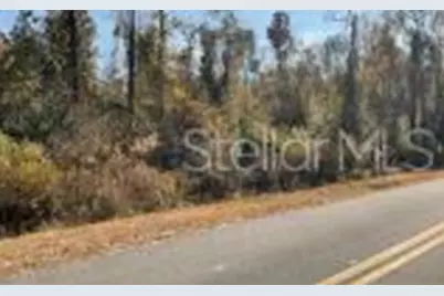 4003 NE 113th Avenue, Jasper, FL 32052 - Photo 1