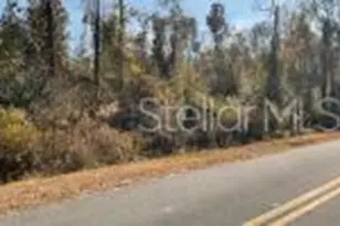 4003 NE 113th Ave, Jasper, FL 32052 - Photo 1